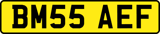 BM55AEF