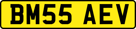 BM55AEV