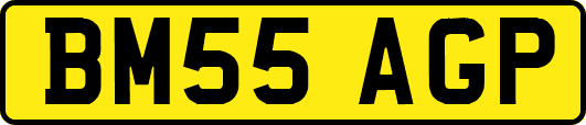 BM55AGP