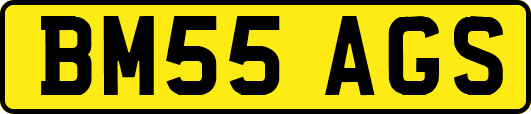 BM55AGS