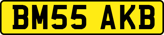 BM55AKB