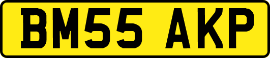 BM55AKP