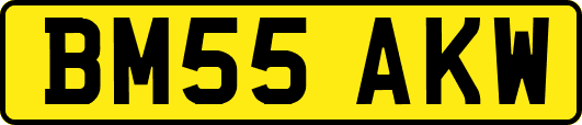 BM55AKW