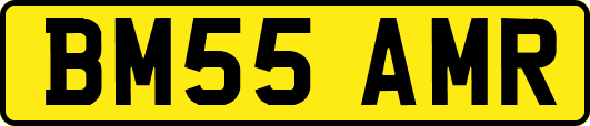 BM55AMR