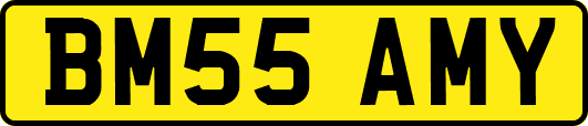 BM55AMY