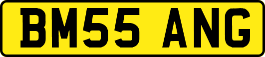 BM55ANG