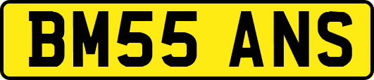 BM55ANS