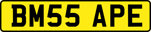 BM55APE