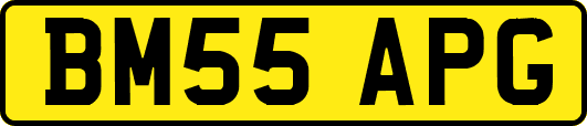 BM55APG