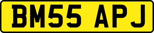 BM55APJ
