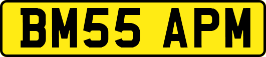 BM55APM