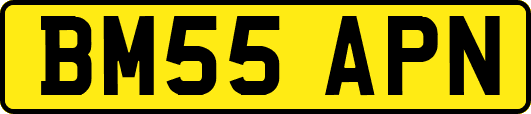 BM55APN