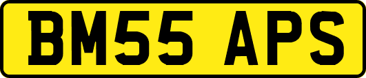 BM55APS