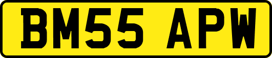BM55APW
