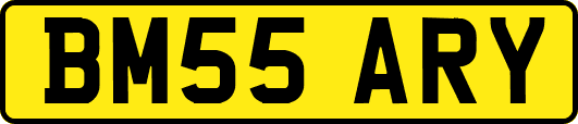 BM55ARY