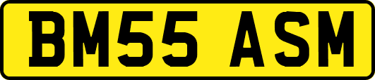 BM55ASM