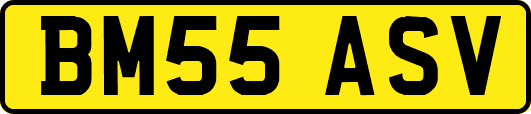 BM55ASV