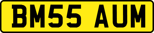 BM55AUM