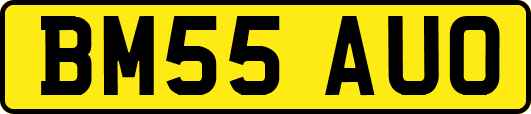 BM55AUO