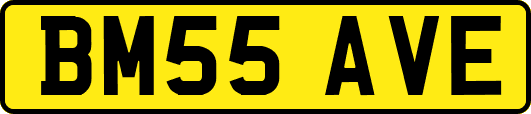 BM55AVE
