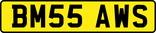 BM55AWS