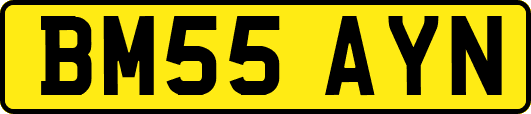 BM55AYN