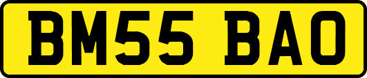 BM55BAO