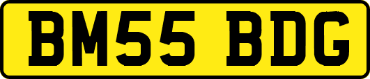 BM55BDG