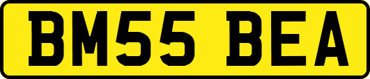 BM55BEA