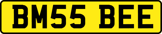 BM55BEE