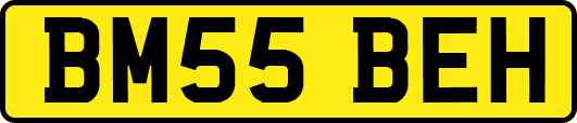 BM55BEH