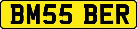 BM55BER