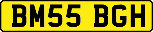 BM55BGH