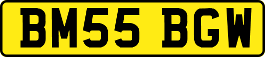 BM55BGW