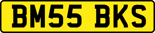 BM55BKS