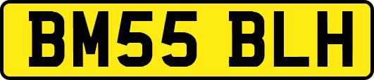 BM55BLH