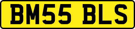 BM55BLS