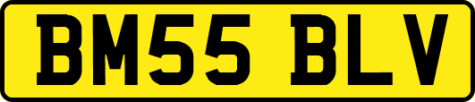 BM55BLV