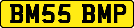 BM55BMP