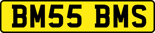 BM55BMS