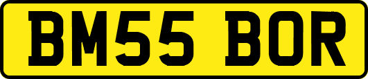 BM55BOR