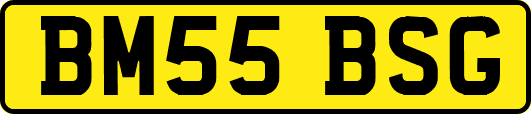 BM55BSG
