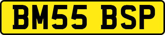 BM55BSP