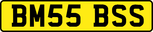 BM55BSS