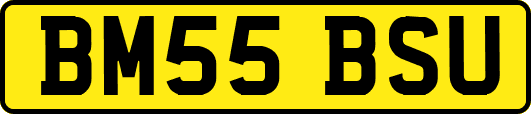 BM55BSU