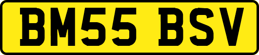 BM55BSV