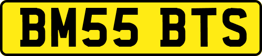 BM55BTS