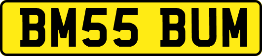 BM55BUM