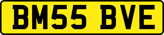 BM55BVE