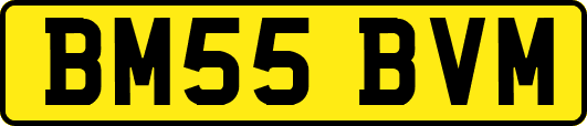 BM55BVM